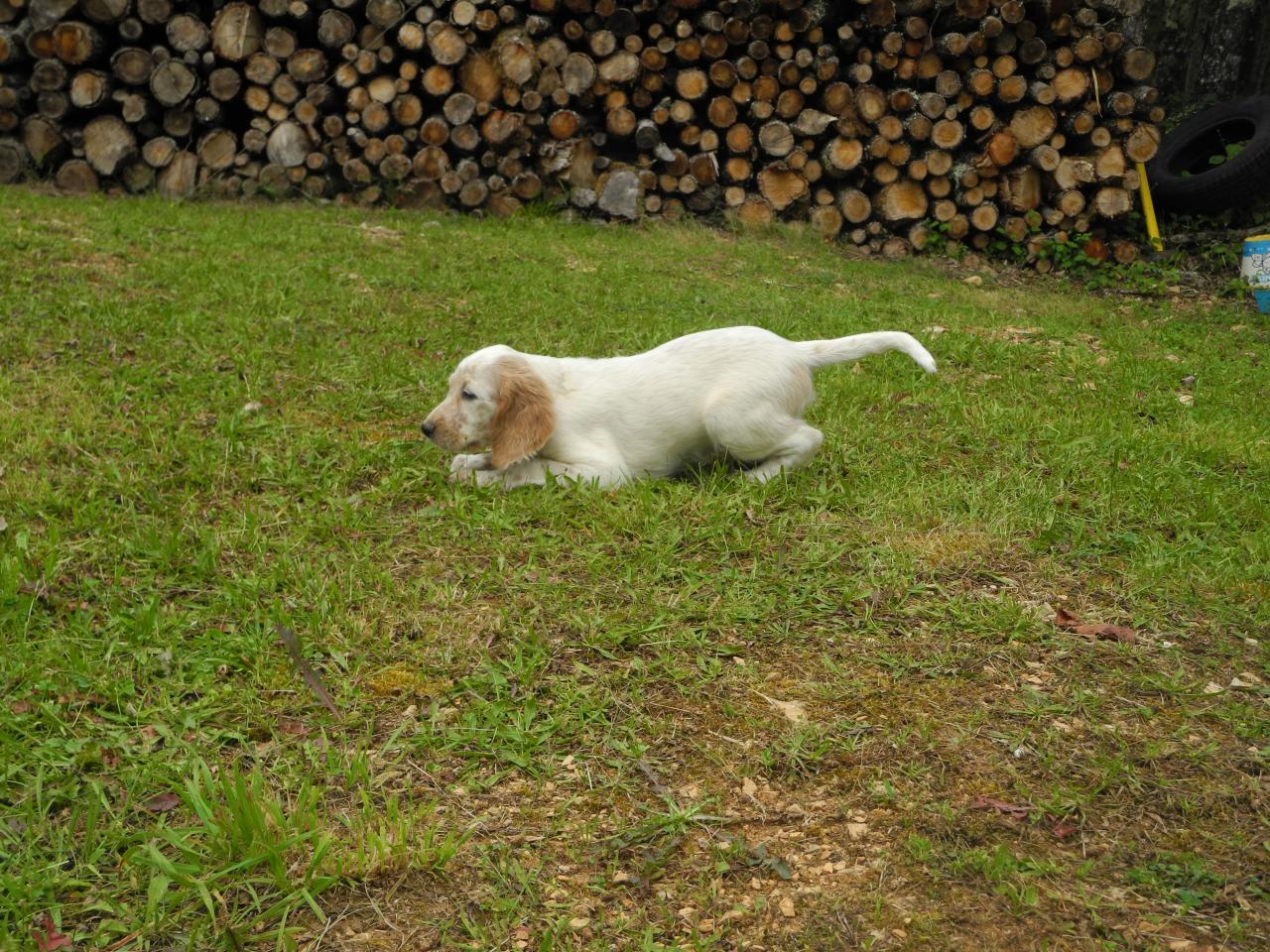 DSCN4206.JPG