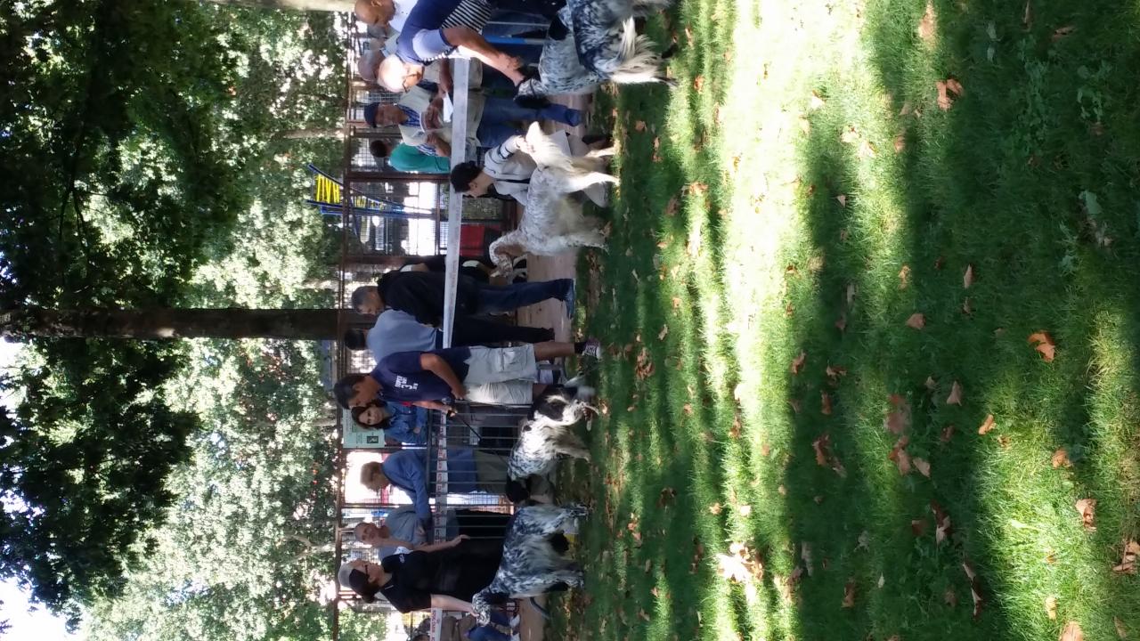 20140817_105232.jpg