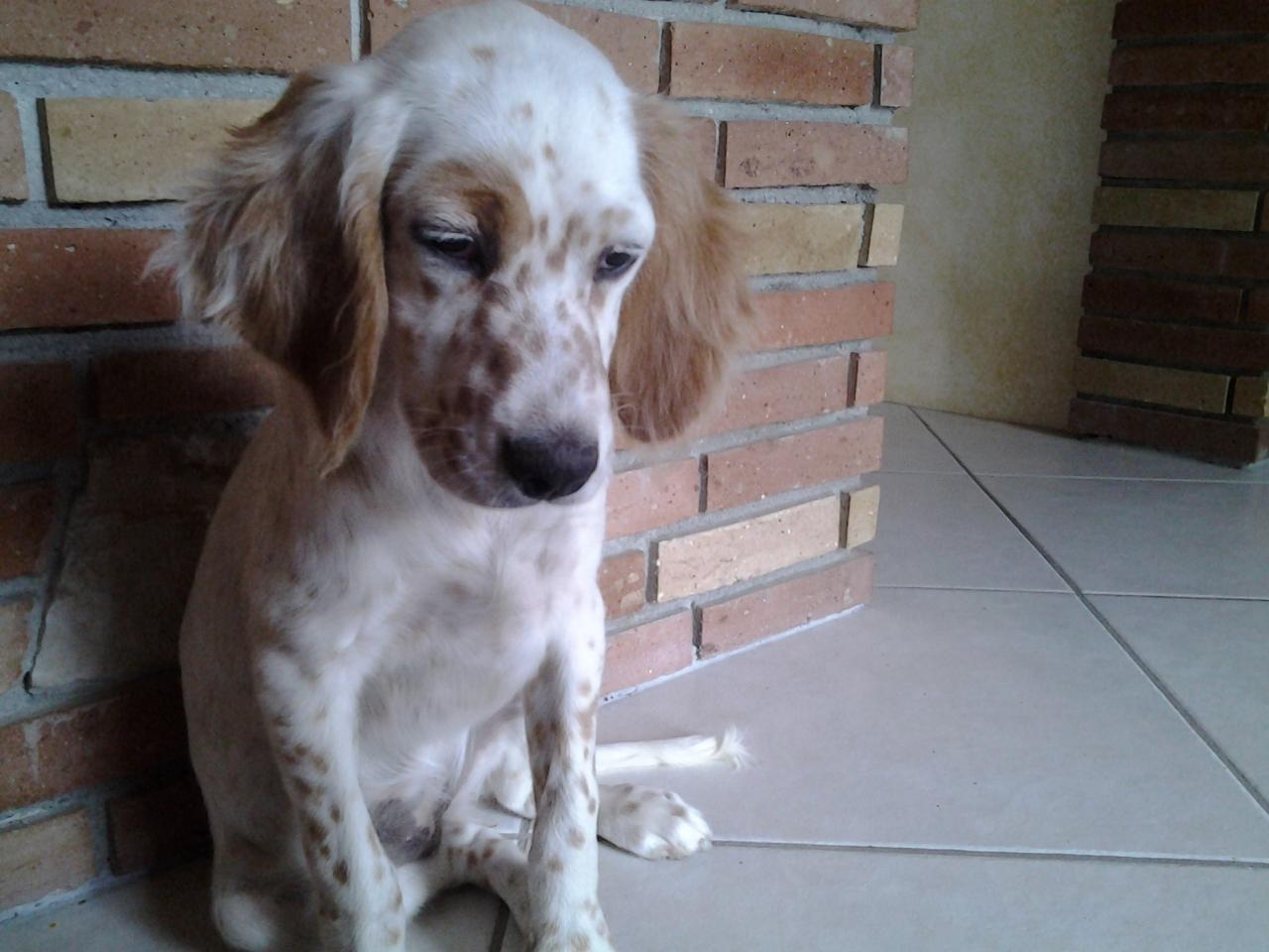 20140821_174903.jpg
