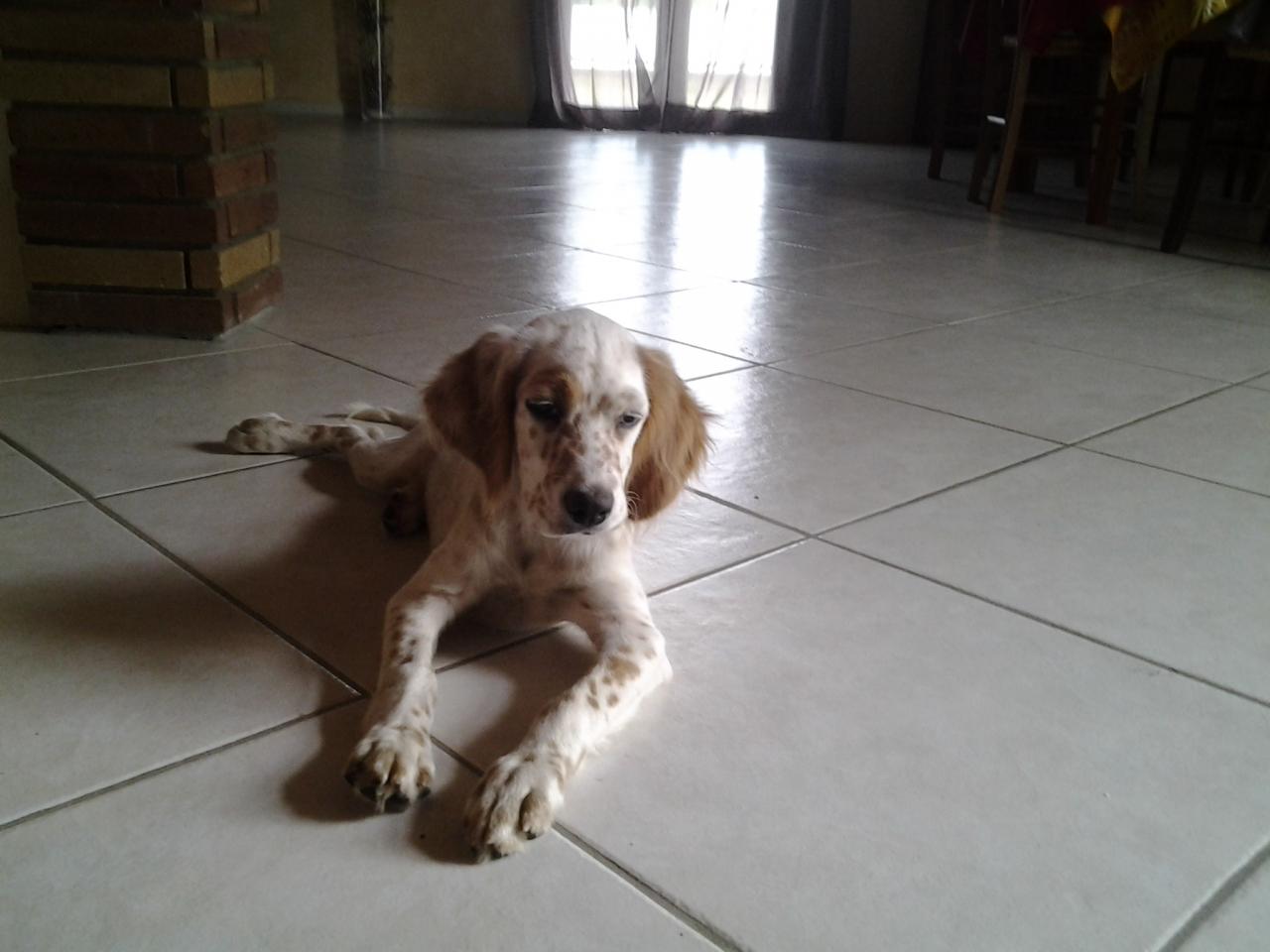 20140821_174835.jpg