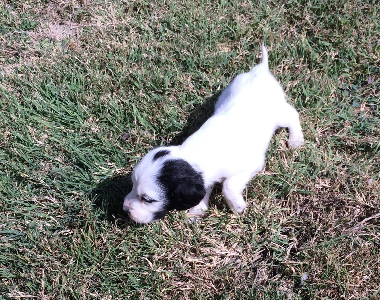 photo 6.jpg