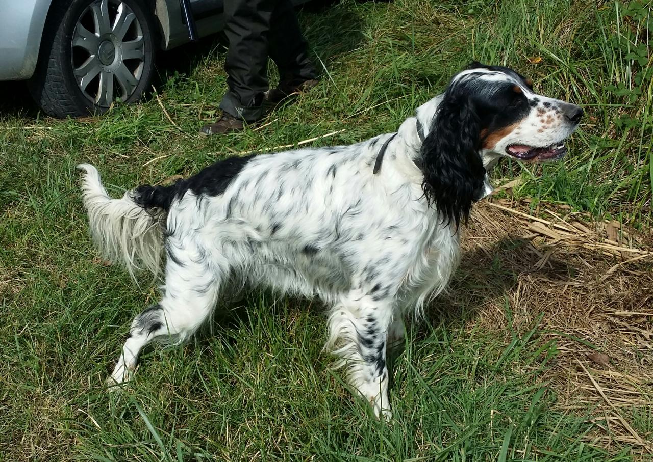 20140921_142052-1.jpg