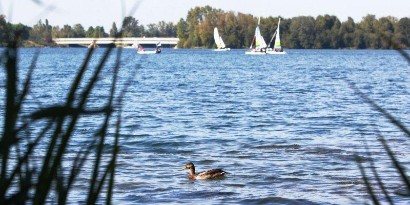 1680202_6840872_800x400.jpg
