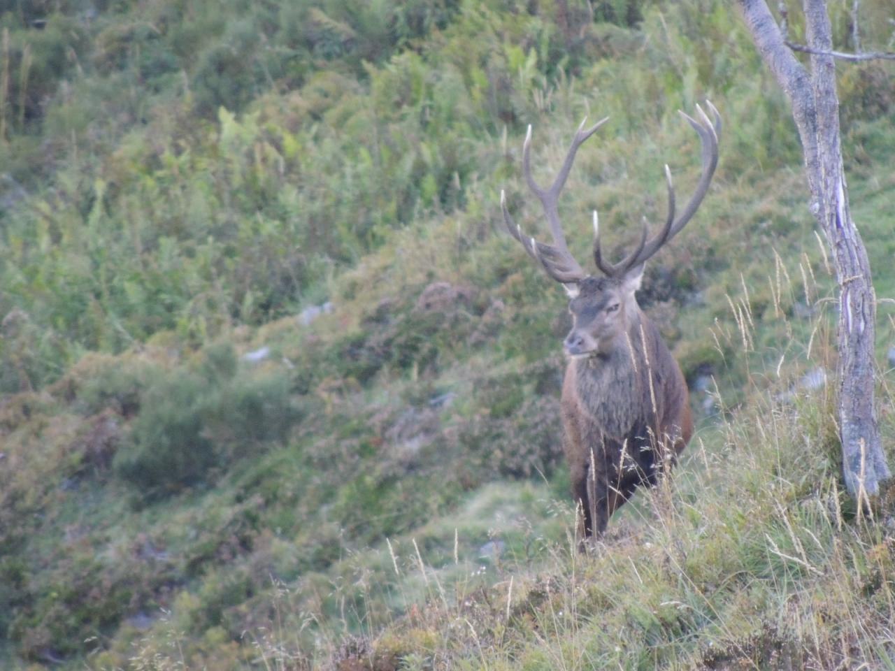 DSCN4588.JPG