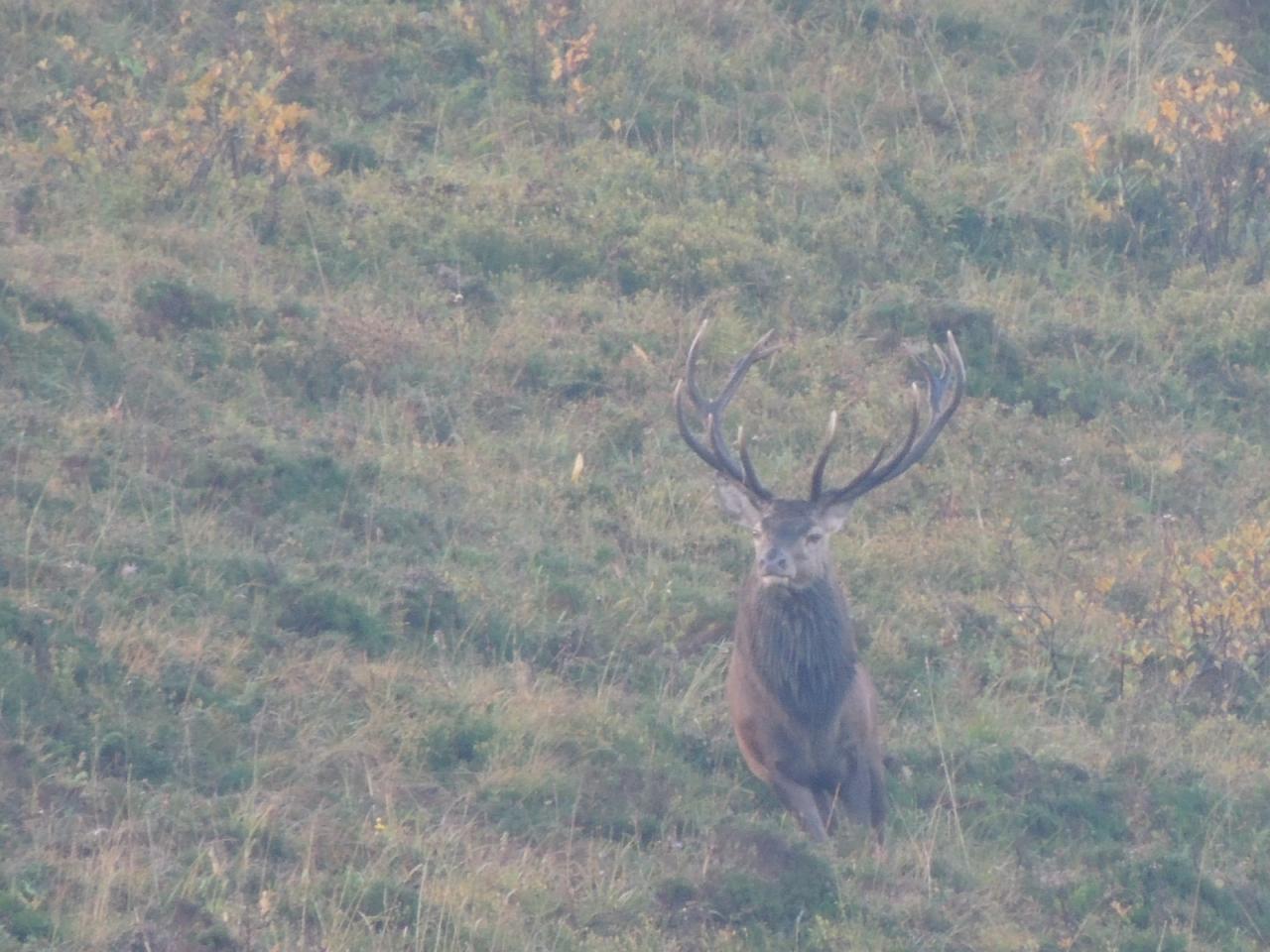 DSCN4690.JPG