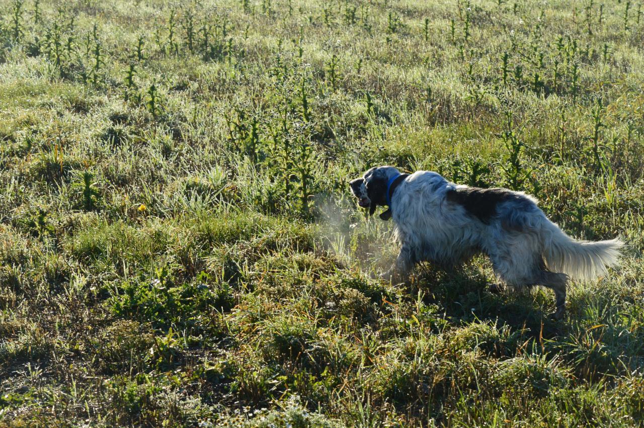 DSC_0090.JPG