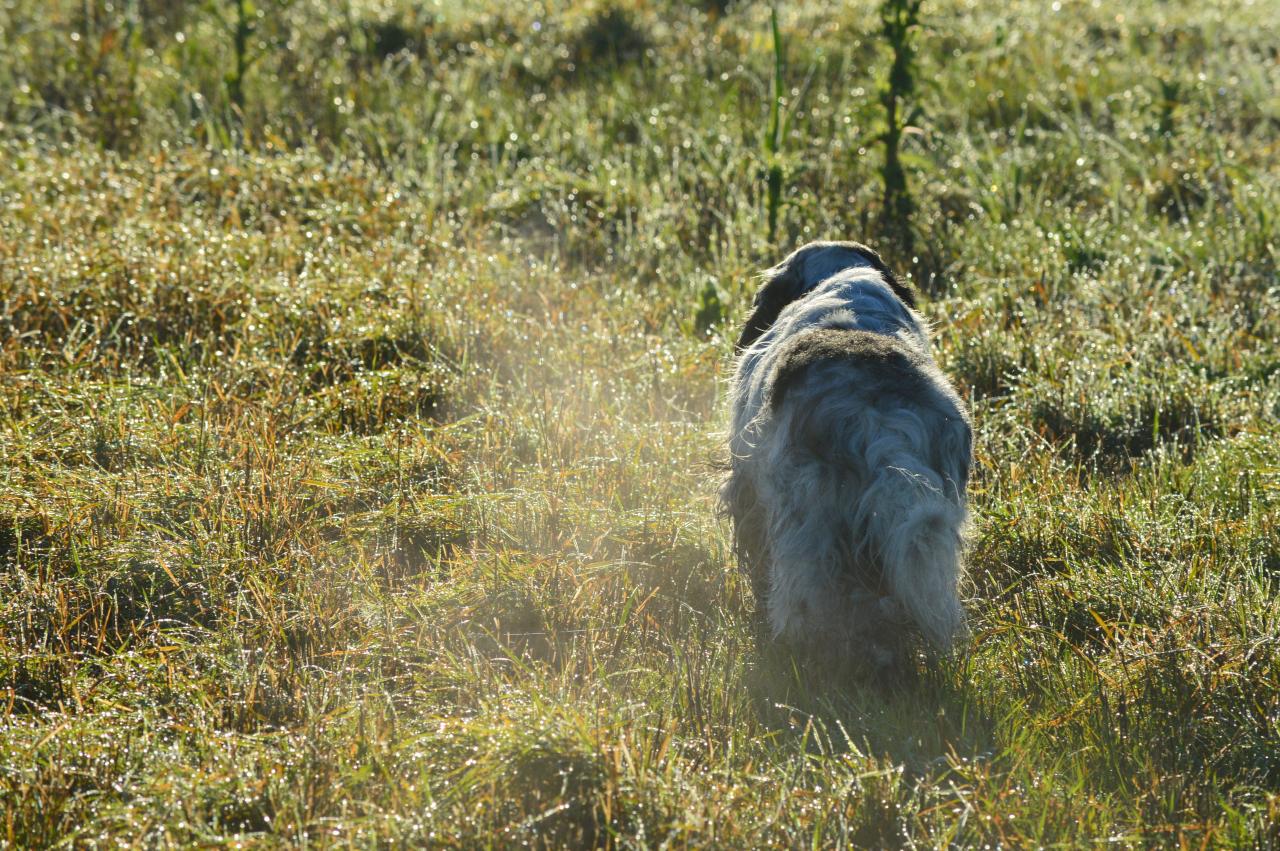 DSC_0094.JPG