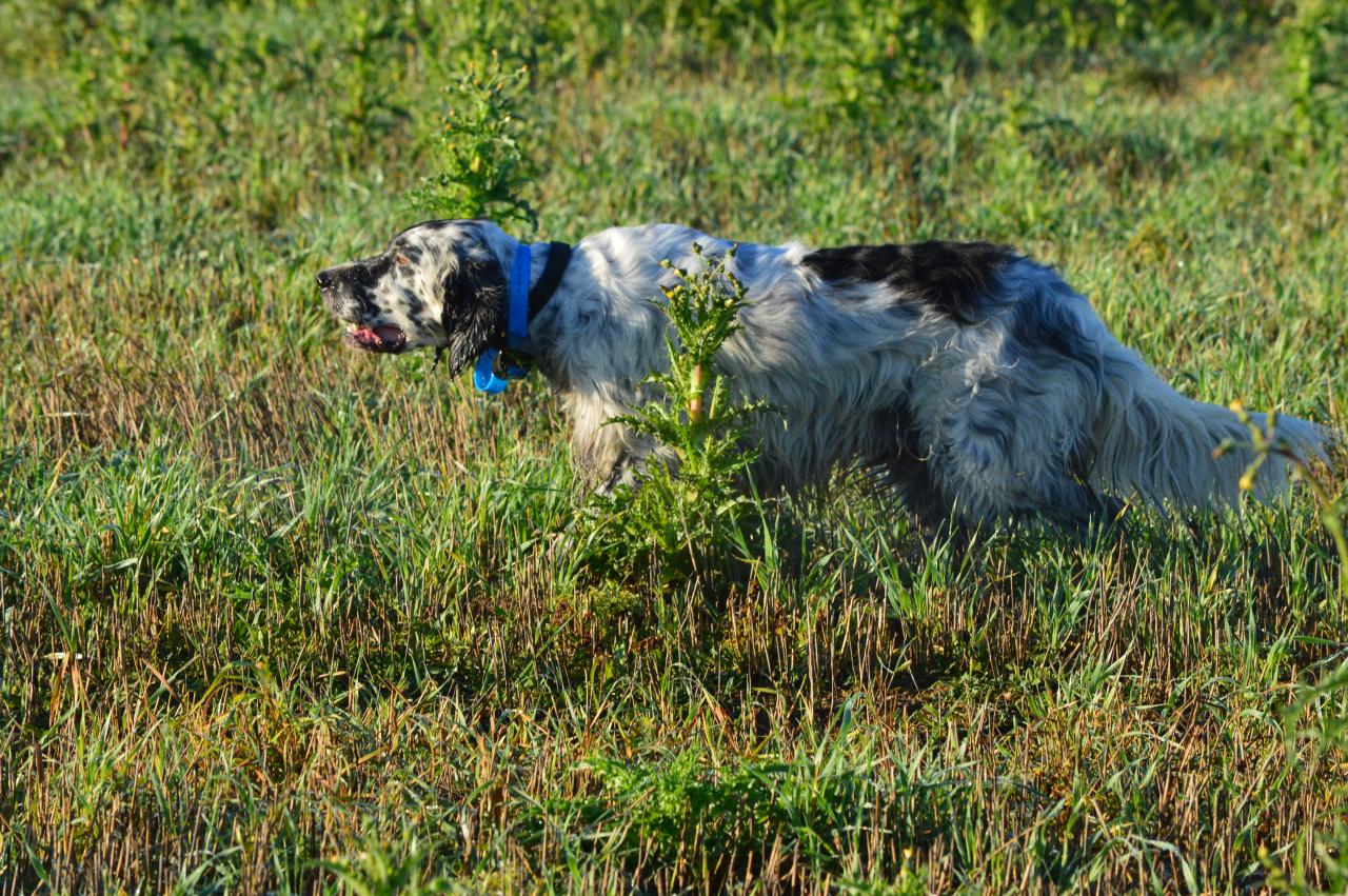 DSC_0128.JPG
