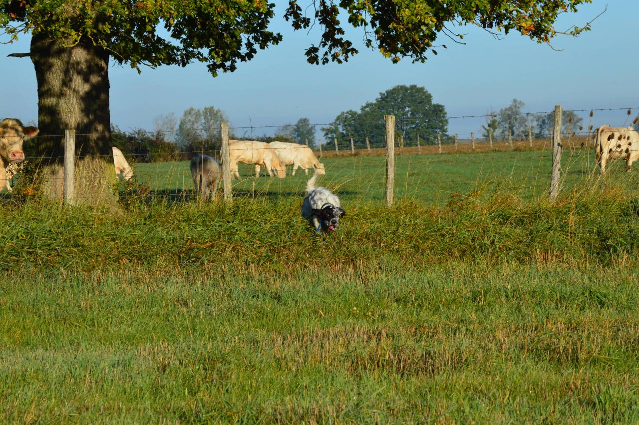 DSC_0133.JPG