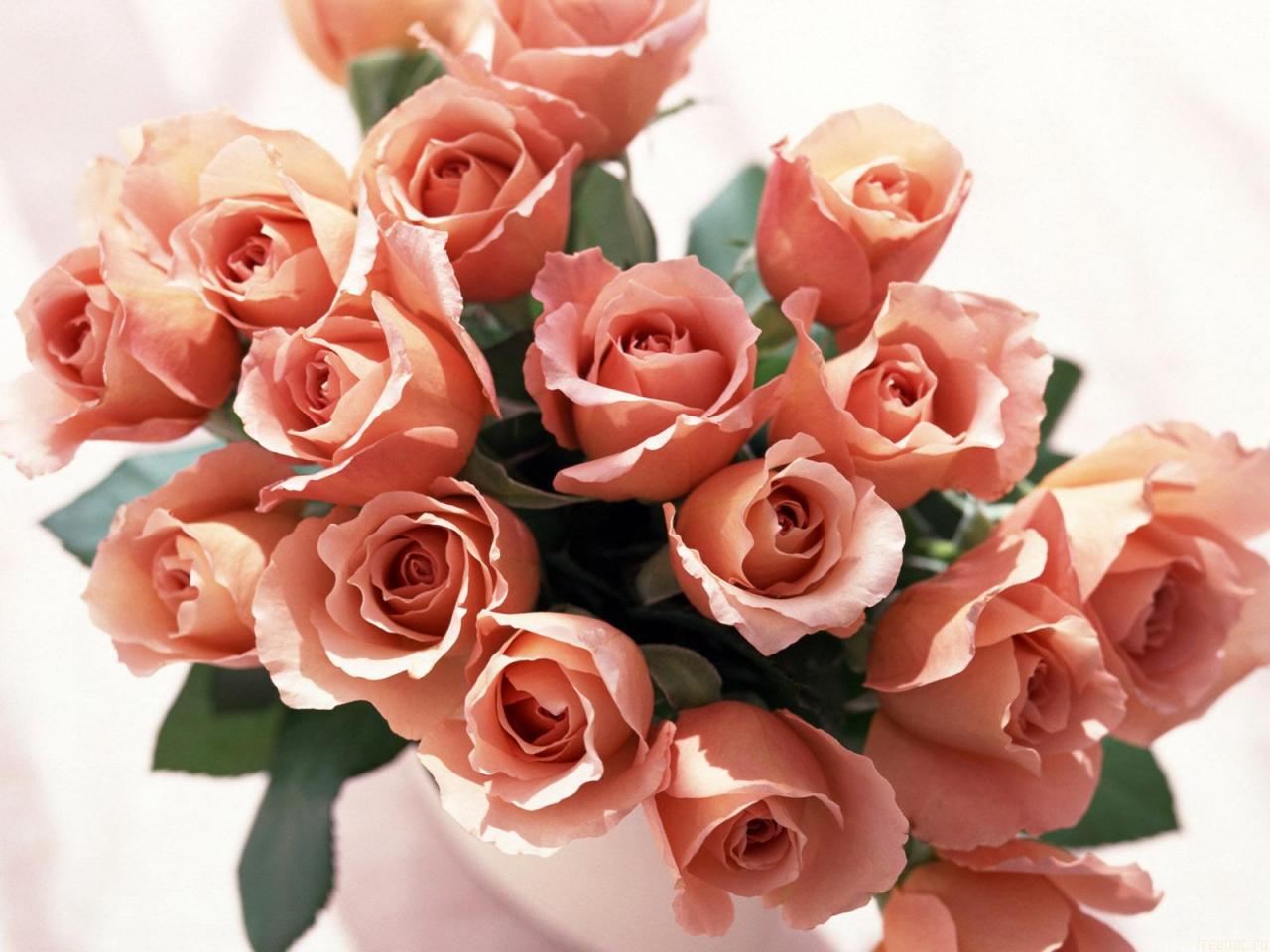 roses_bunch-normal.jpg