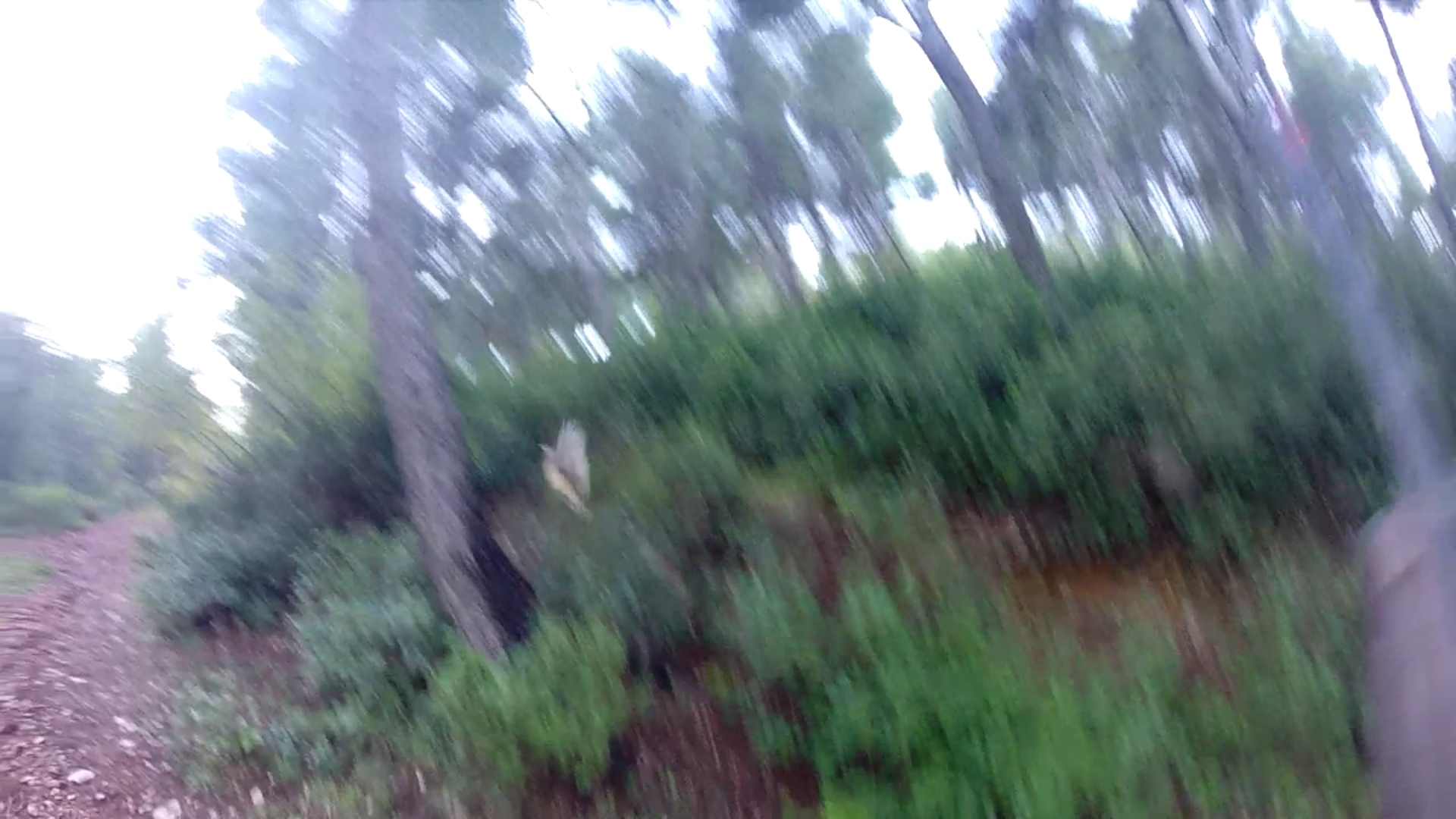 Screenshot_2014-11-17-09-50-33.png