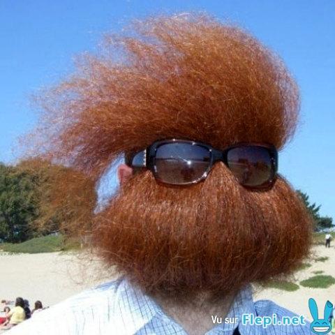barbe-rousse.jpg