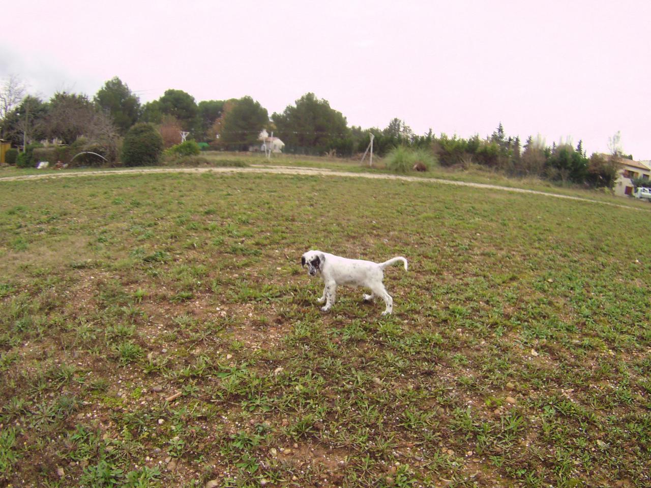 FILE0030.JPG