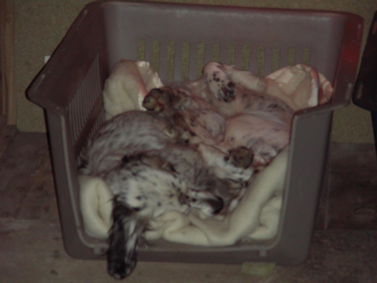 DSCN1373.JPG