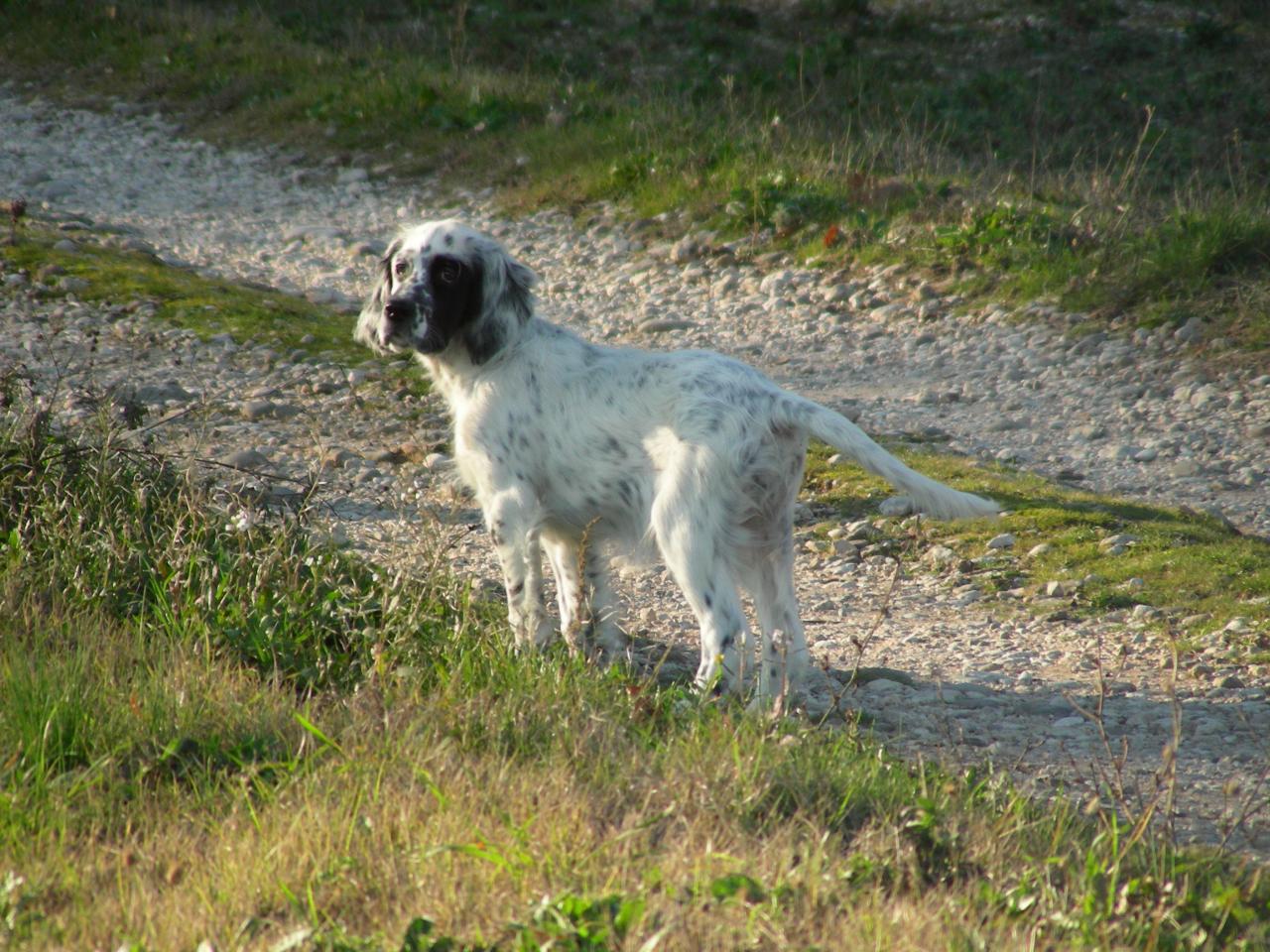 DSCN1387.JPG
