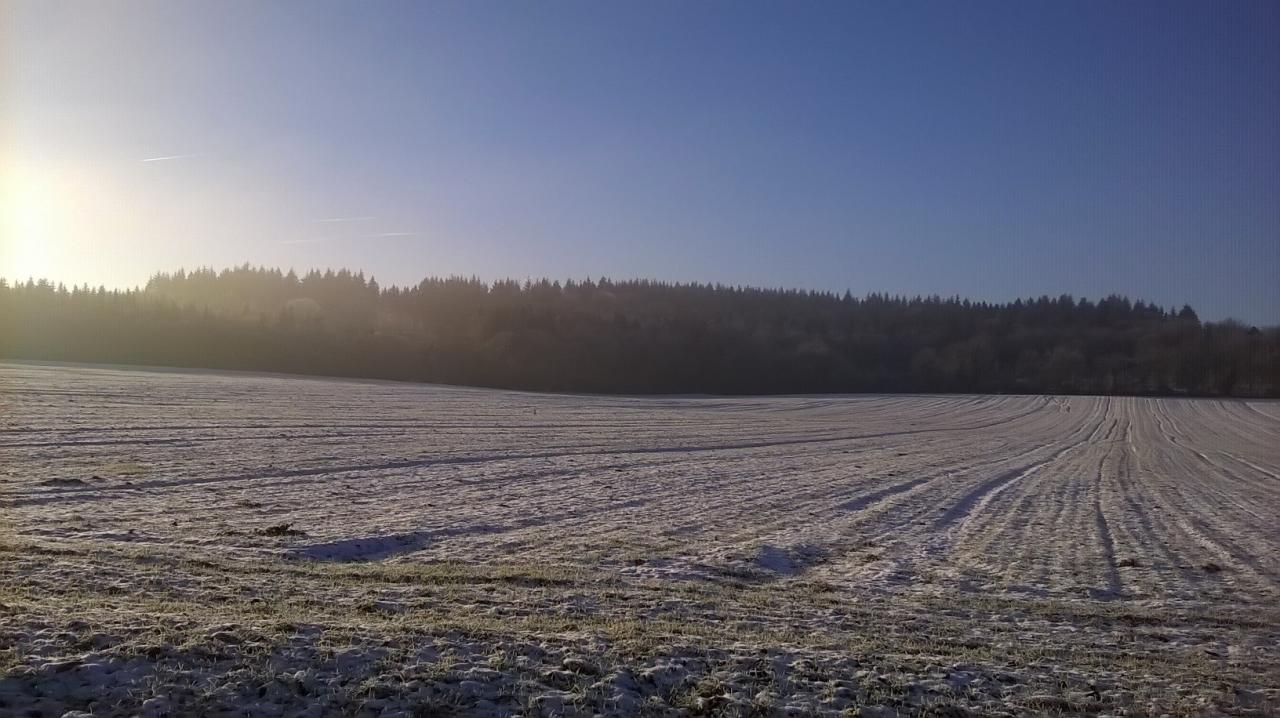 WP_20150101_001.jpg