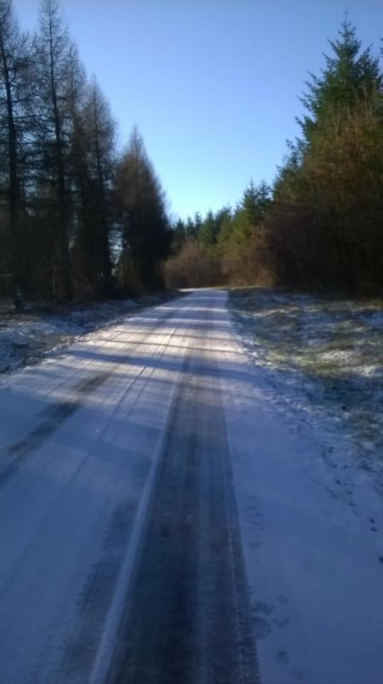 WP_20150101_004.jpg