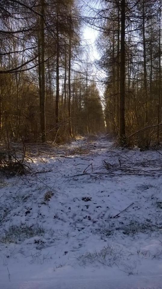 WP_20150101_005.jpg