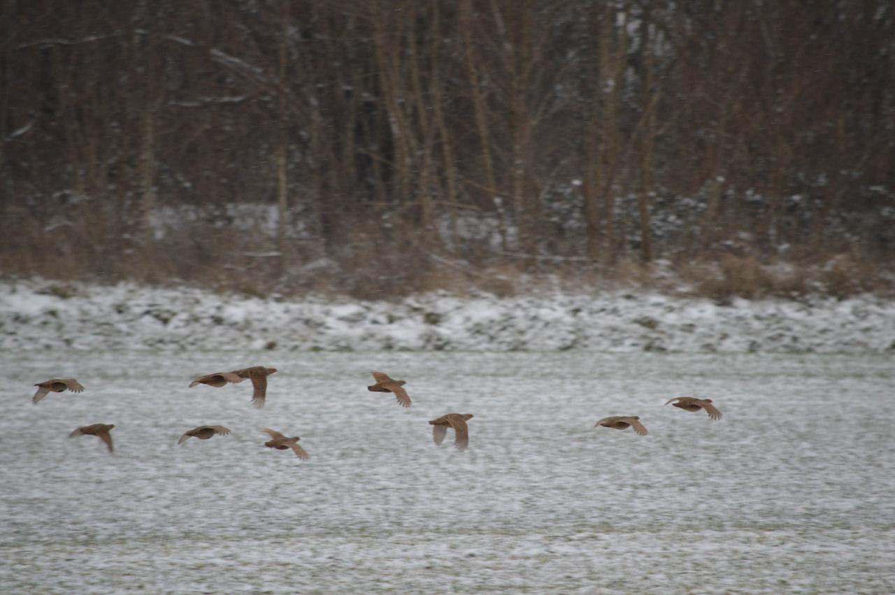 DSC_0024.JPG