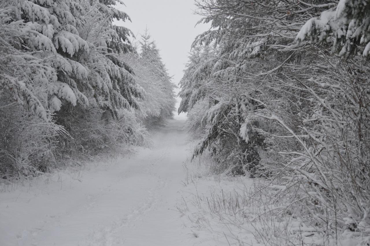 DSC_0038.JPG