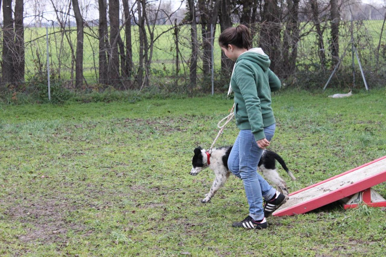 Descente pont petit.JPG