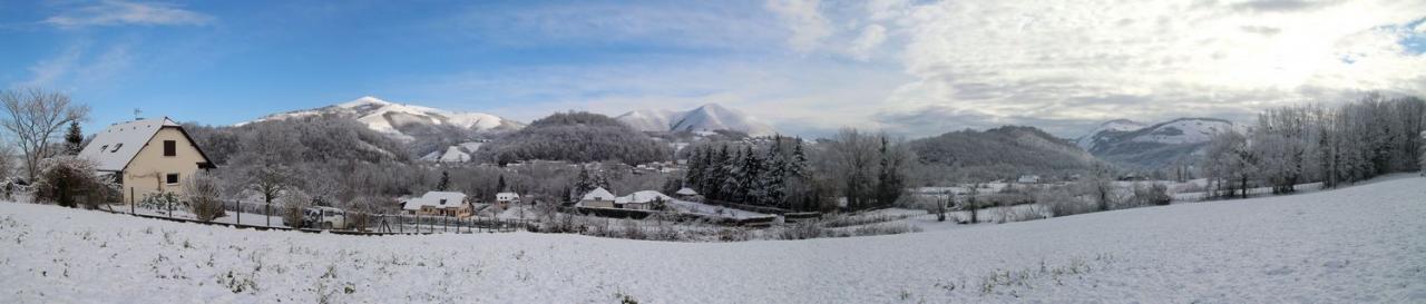 alos_neige_150203_pano2.jpg