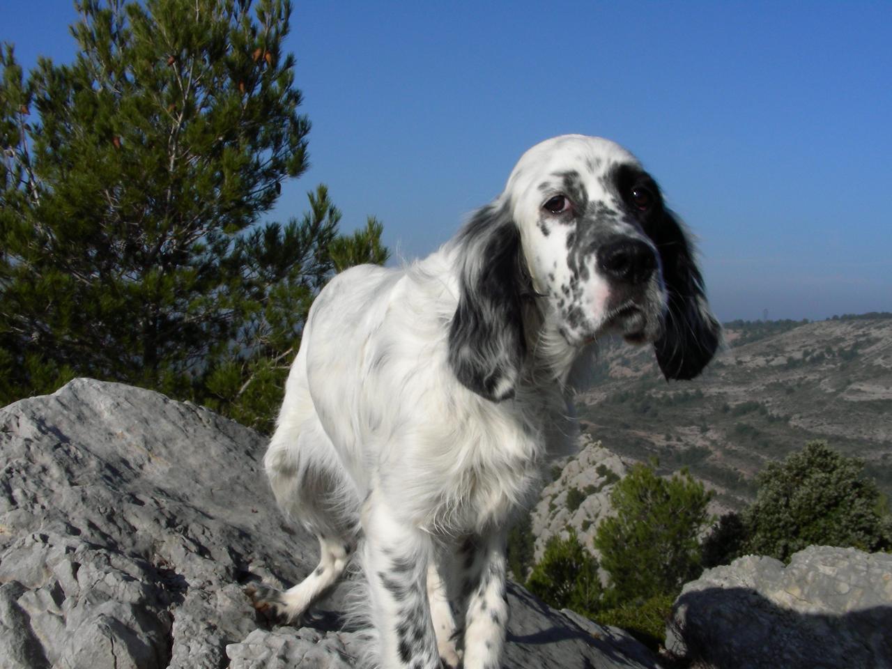 DSCN1561.JPG