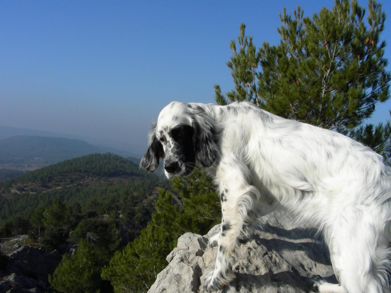DSCN1588.JPG