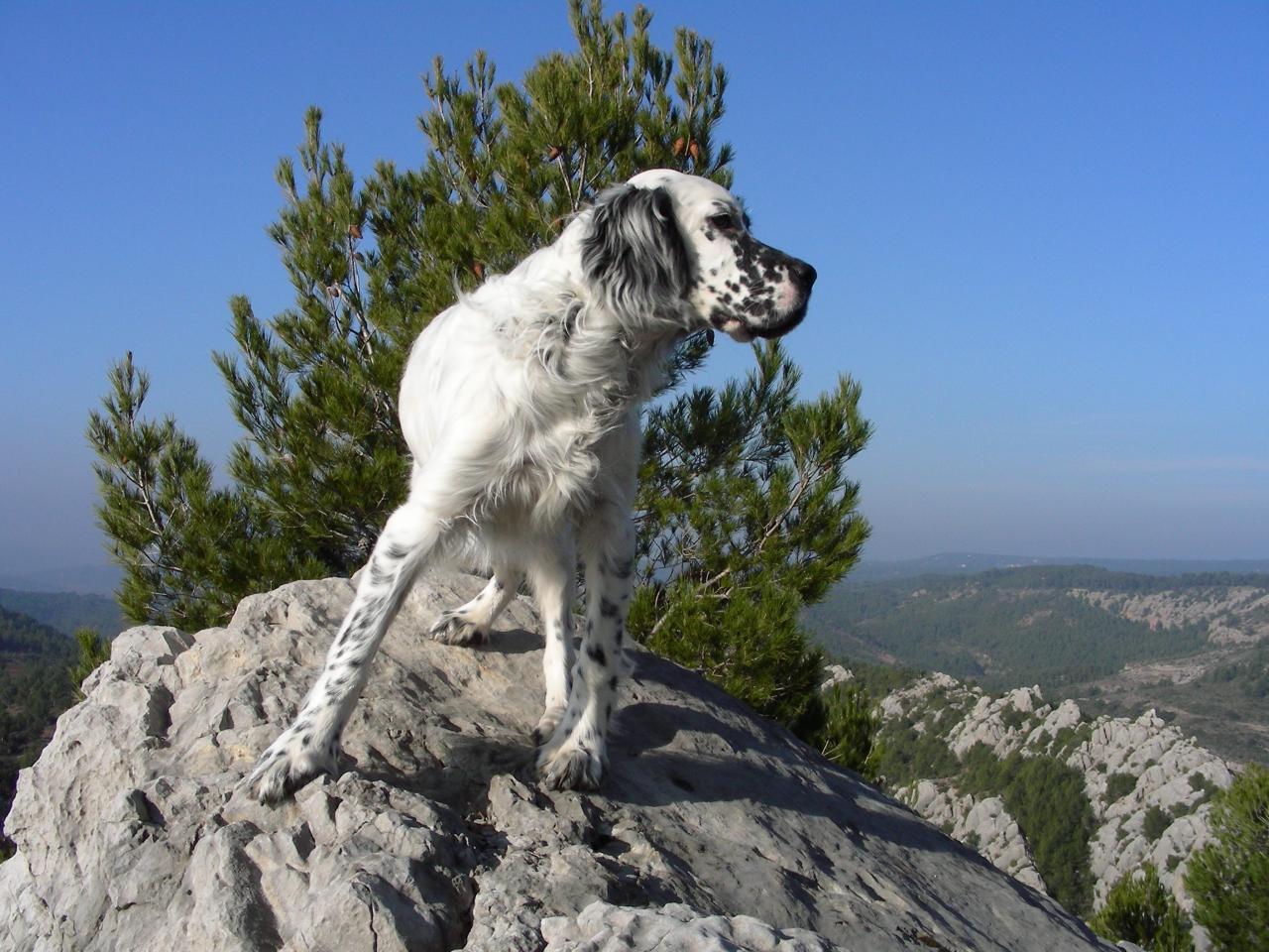 DSCN1580.JPG