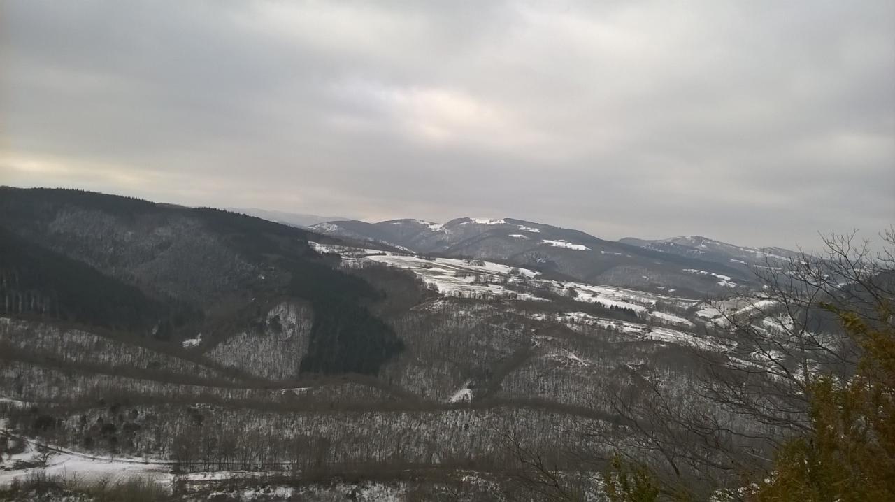 WP_20150208_002.jpg