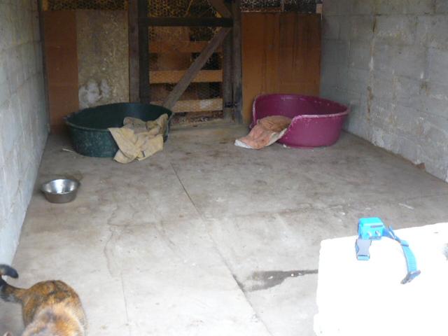 P1130770.JPG