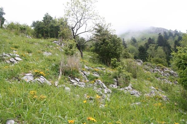 tela_bota_130610_48.jpg