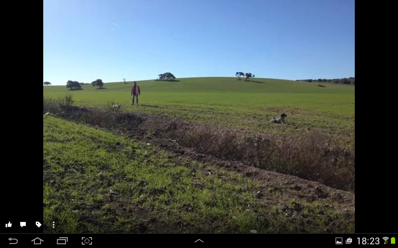 Screenshot_2015-02-19-18-23-54.png