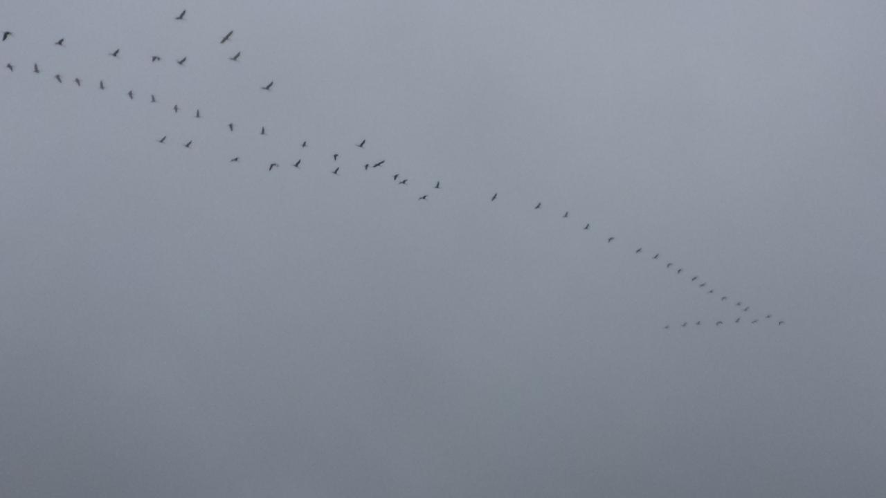 20150302_172733.jpg