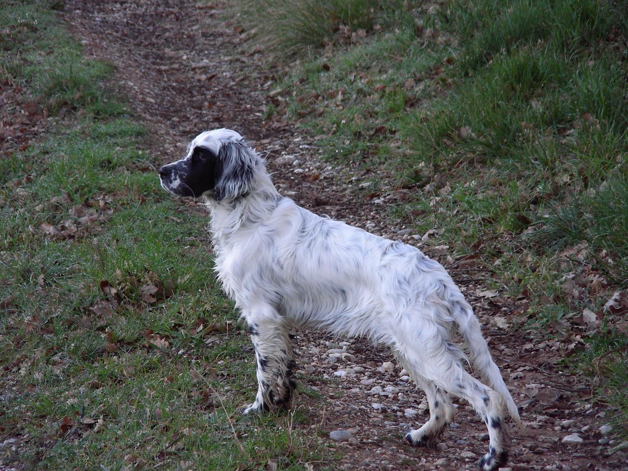 DSCN1667.JPG