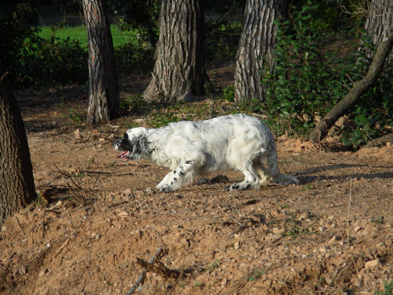 DSCN1804.JPG