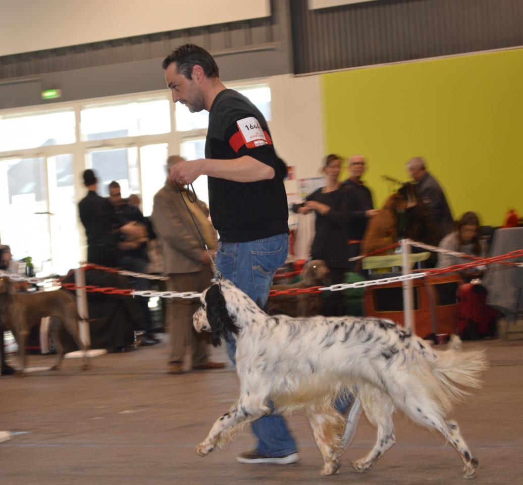 DSC_0291A.JPG