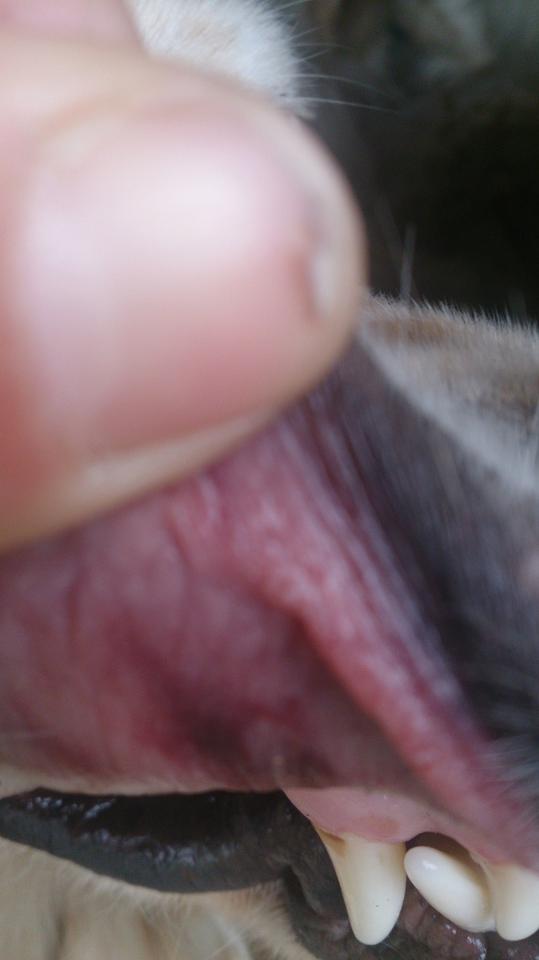 DSC_2461.jpg