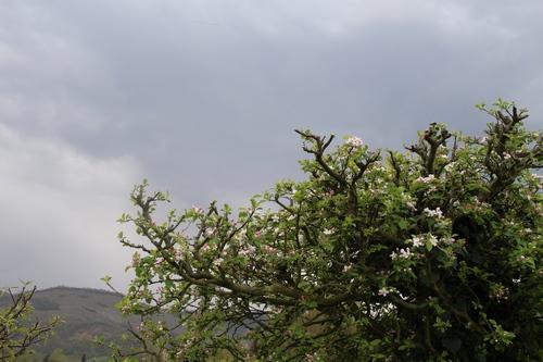 maison_150418_01.jpg
