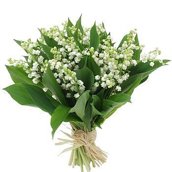 Brin de muguet.jpg