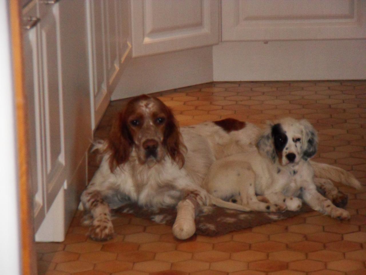 2012-11-19 001.JPG