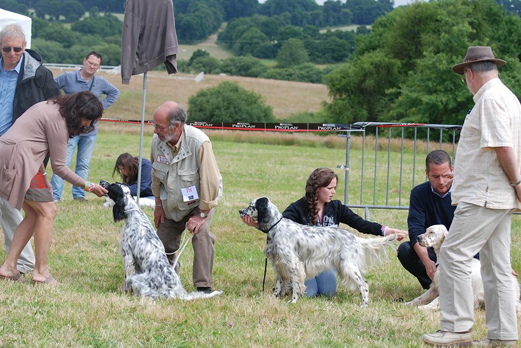 2013-jeune-femelle2.jpg