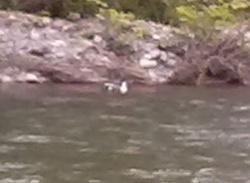 CAM00639_1.jpg