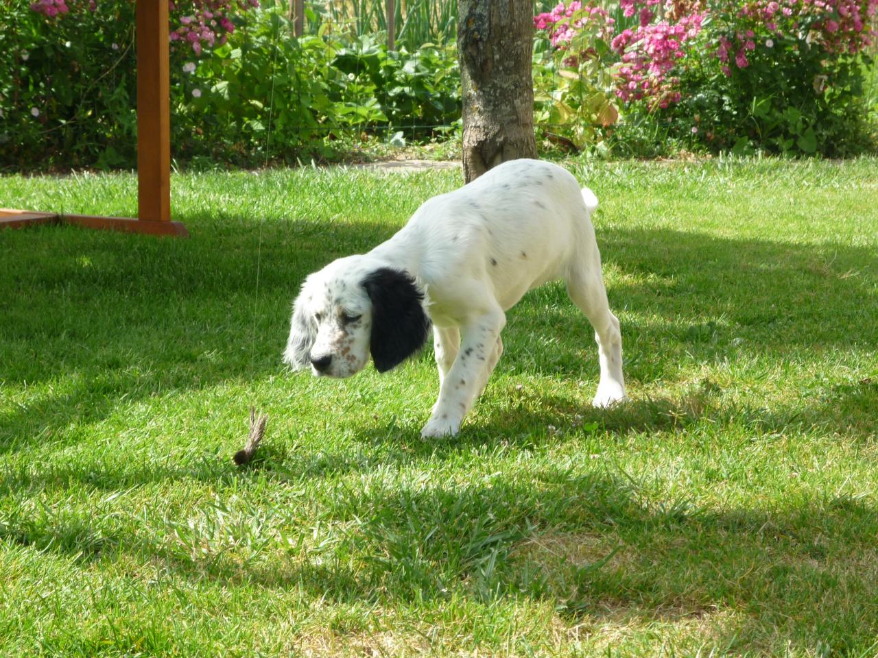 30juin2013 016.JPG
