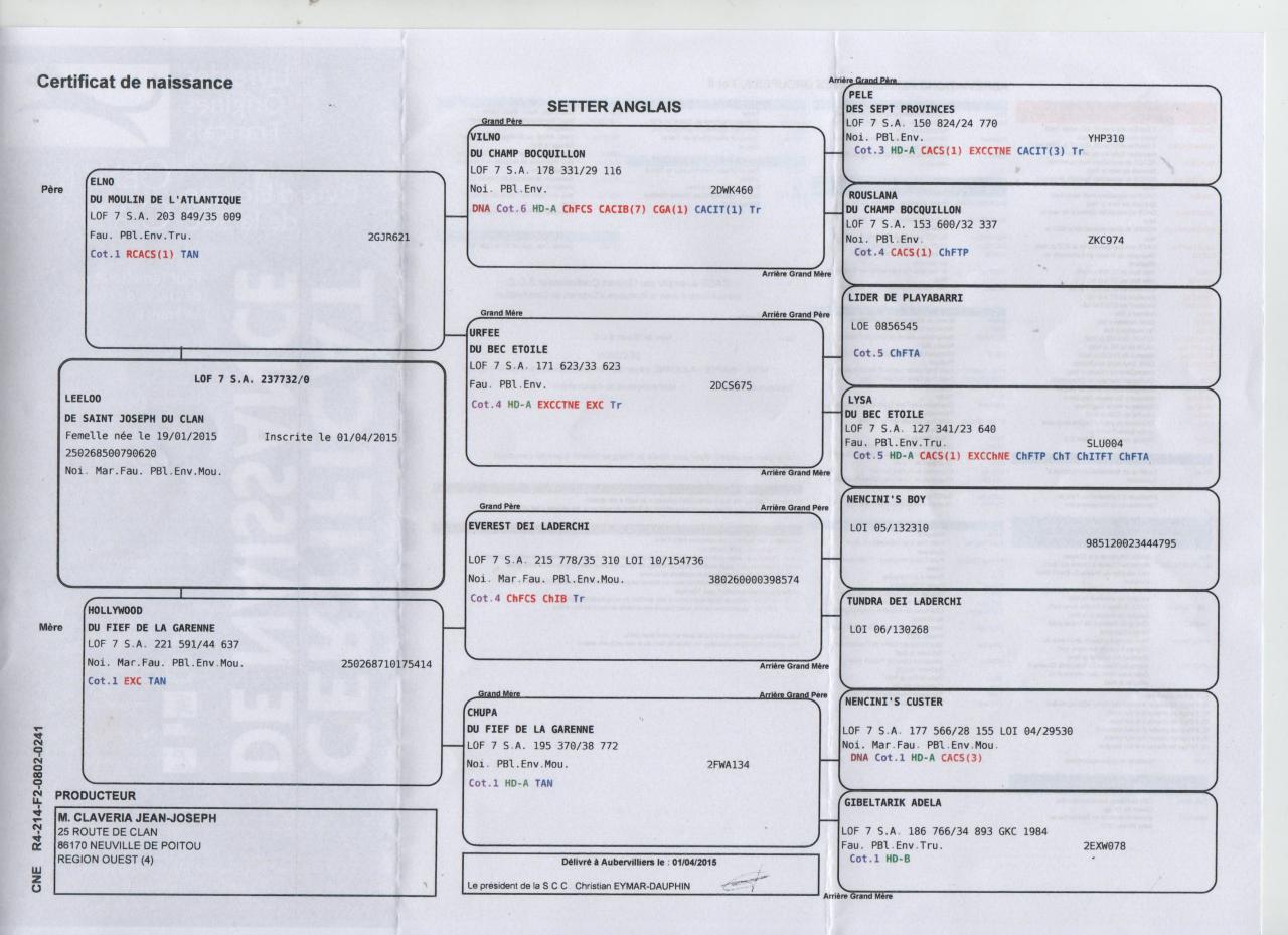 pédigré leeloo.jpg