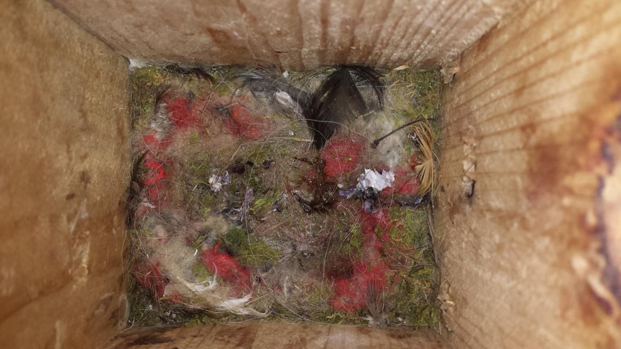 20150531_120402.jpg