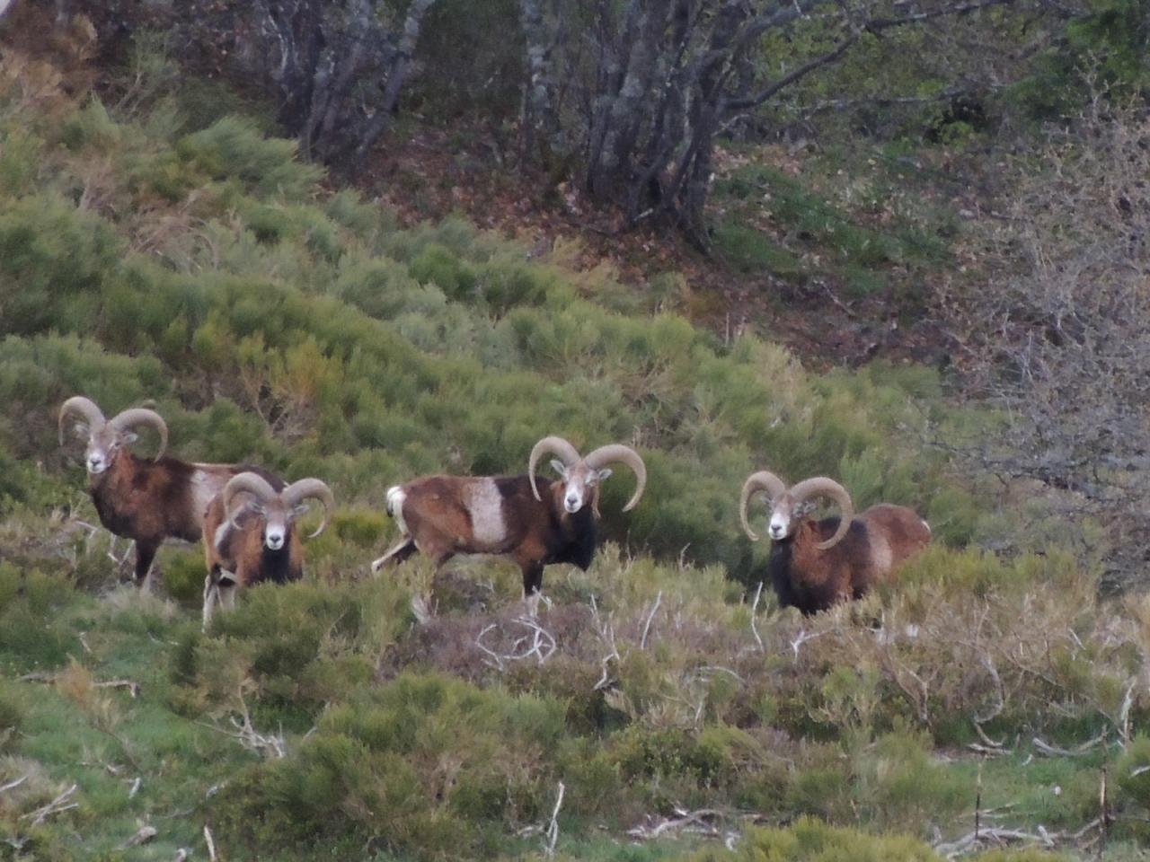 DSCN5806.JPG