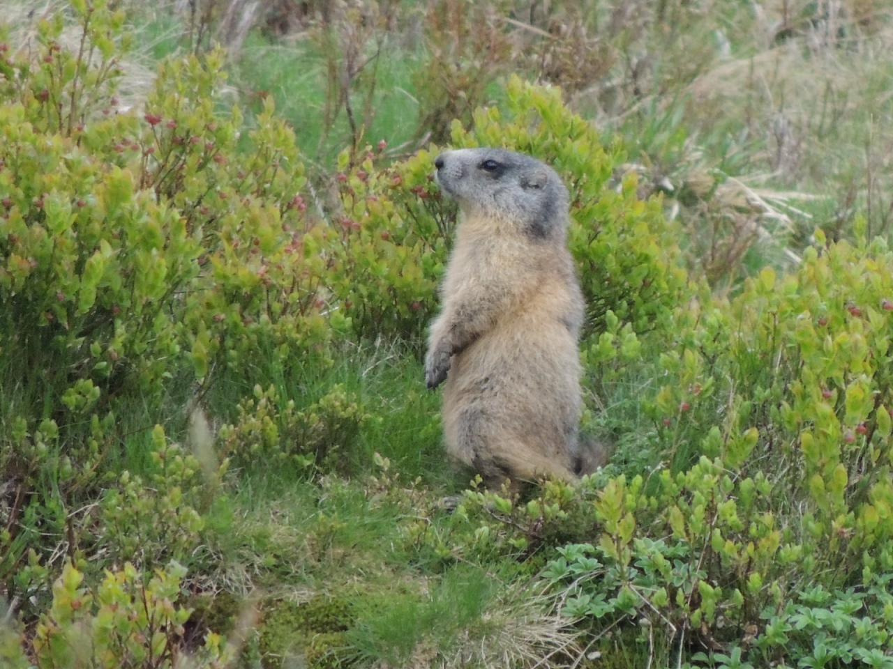 DSCN6085.JPG