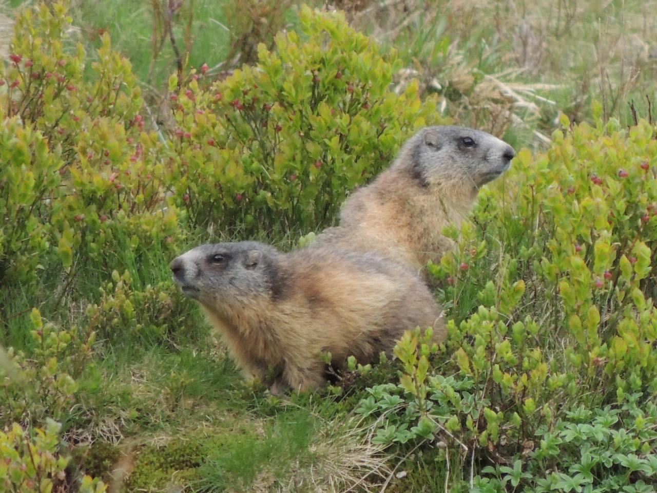 DSCN6077.JPG