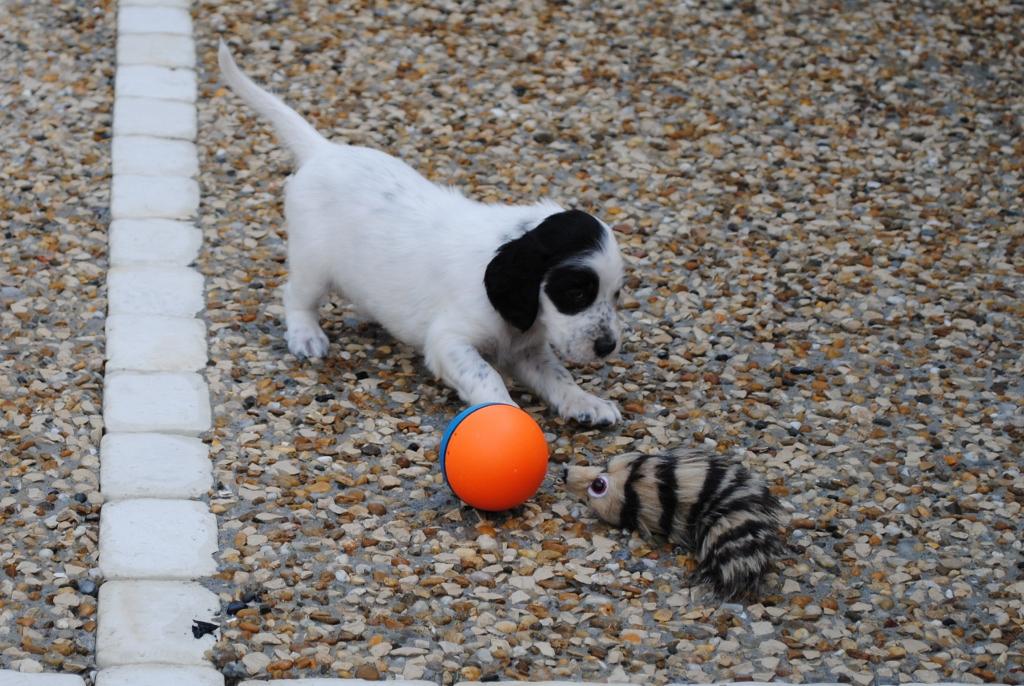 DSC_2205 (1024x686).jpg